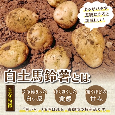 東御市産白土馬鈴薯約5kg【8～12月お届け】