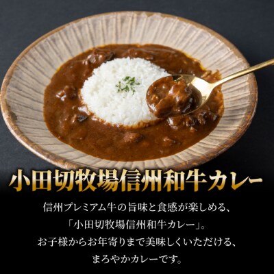 信州プレミアム牛使用「信州和牛カレー」「信州和牛シチュー」「玉ねぎ黒酢ドレッシング」セット