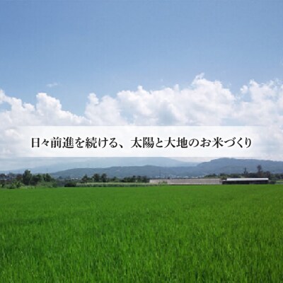 【太陽と大地】在来種大豆こうじいらず使用　手造り信州味噌「八重原味噌」2kg |大桂商店