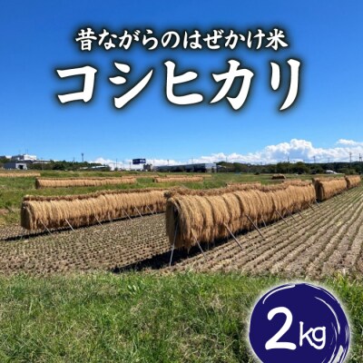 昔ながらのはぜかけ米コシヒカリ　白米2kg(令和8年産新米)【ならはら農園】 