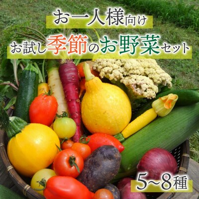 【アグロノーム】季節のお野菜セット(お一人様向け)|5～8種類の野菜詰め合わせ