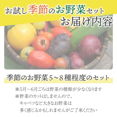 【アグロノーム】季節のお野菜セット(お一人様向け)|5～8種類の野菜詰め合わせ