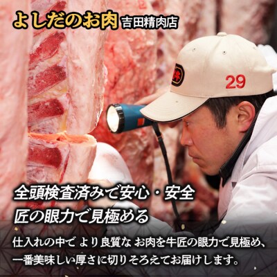 厳選A5-A4 山形牛 ヒレステーキ 約520g(130g×4枚) FZ22-993