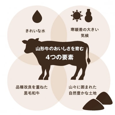 山形牛メス希少部位 牛の力こぶステーキ 6枚 FY22-246