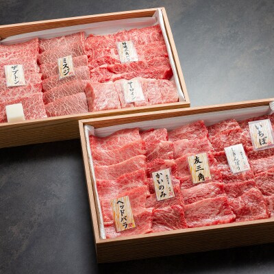 焼肉名匠山牛一頭盛焼肉セット 約900g FY23-128