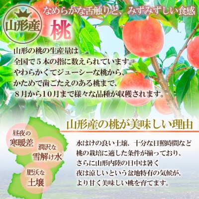 【定期便3回】旬の時期にお届け!わくわく桃三昧定期便 FU22-744