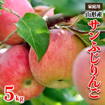 【家庭用】山形産 サンふじりんご 優品以上 5kg【令和8年産】FS25-798