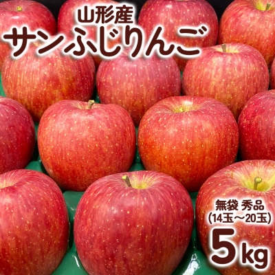 サンふじりんご 無袋 秀品5kg(14玉～20玉)【令和8年産】FS25-761