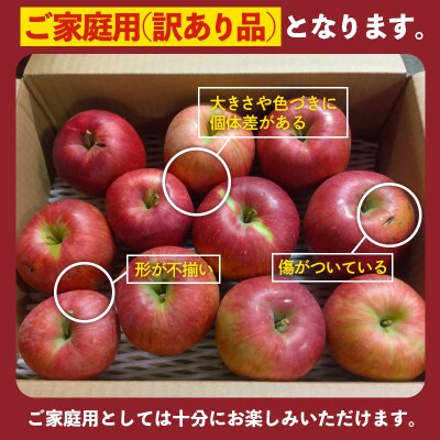 [家庭用]山形産 りんご(サンふじ) 3kg(11月発送)【令和8年産】FS25-770