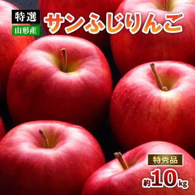 【特選】山形のサンふじりんご 約10kg 特秀品(20～50玉)【令和8年産】FS25-791