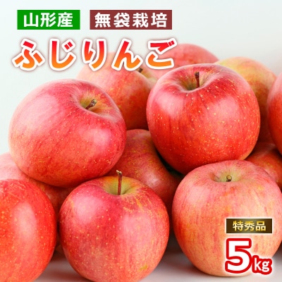 山形産無袋栽培ふじりんご特秀5kg【令和8年産】FS25-772
