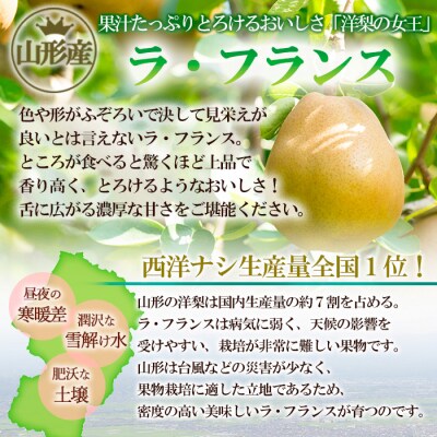 山形のラ・フランス小玉 10kg(36～48玉・サイズM～2L)【令和8年産】FS25-739