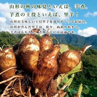 農薬不使用 自然農法 山形特産 土付里芋 3kg!(さといもやのおすすめ品) FZ23-134