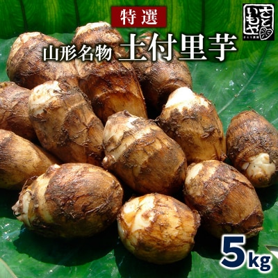 [特選]山形名物 土付里芋 5kg FZ23-137