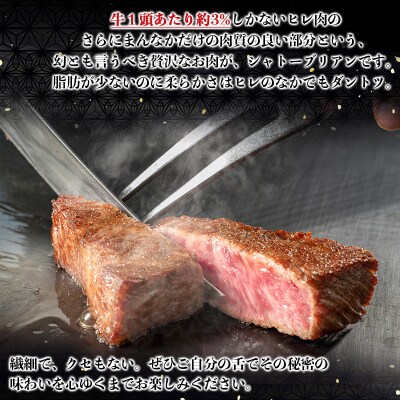 山形牛 シャトーブリアンステーキ 300g(100g×3枚入) FY24-296