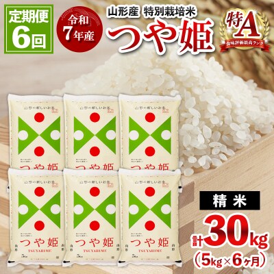 【定期便6回】令和7年産 山形産 特別栽培米 つや姫 5kg×6ヶ月(計30kg)FY25-487