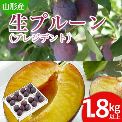 山形の生プルーン(プレジデント)1.8kg以上(450g×4P) 【令和8年産】FS24-654