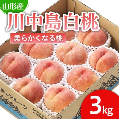 川中島白桃」 秀以上 3kg(8玉～11玉)[柔らかくなる桃] 【令和8年産】FS25-727