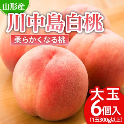 川中島 白桃 秀品 大玉 6個入 1.8kg以上[やわらかくなる桃] 【令和8年産】FU21-007
