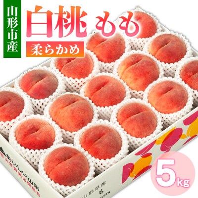 山形市産 白桃 もも 5kg 柔らかめ(10～16玉) 【令和8年産】FS24-752