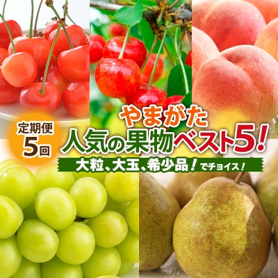 【定期便5回】やまがた人気果物ベスト5!大粒、大玉、希少品!【令和8年産】FS24-782