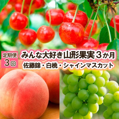 【定期便3回】みんな大好き山形果実 (佐藤錦、白桃、シャイン) 【令和8年産】FU23-342