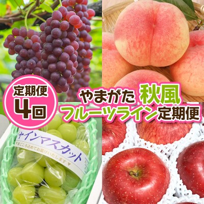 【定期便4回】やまがた 秋風フルーツライン定期便【令和8年産】FU23-878