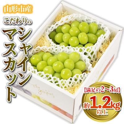 【満足の2～3房】こだわりのシャインマスカット 約1.2kg 【令和8年産】 FS24-544
