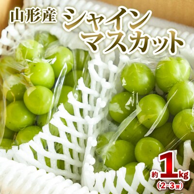 山形産 シャインマスカット 約1kg (2～3房) 秀品 【令和8年産】FS25-606