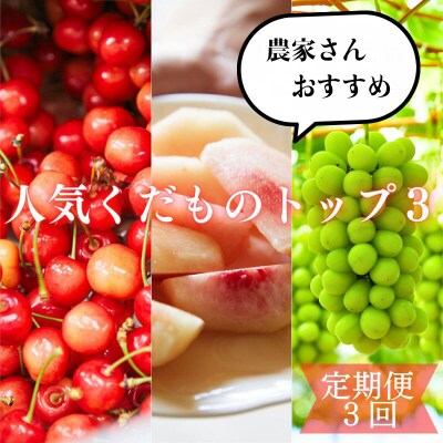 【定期便3回】農家さんおすすめ～人気くだものトップ3!【令和8年産】FU23-702
