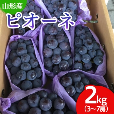 山形市産 ぶどう(ピオーネ) 秀 2kg(3～7房)[後半] 【令和8年産】FU22-038