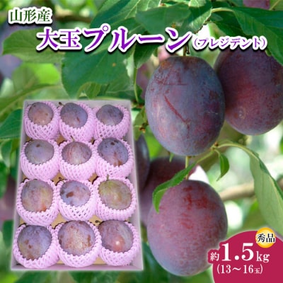 山形市産 大玉プルーン(プレジデント) 秀 約1.5kg 【令和8年産】FU22-757
