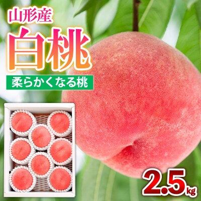 山形産 白桃  [柔らかくなる桃] 2.5kg(7～10玉) 秀品 【令和8年産】FS25-603