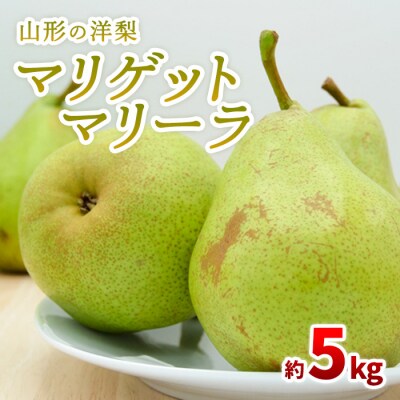 山形の洋梨 マリゲットマリーラ 秀品 約5kg(7～15玉) 【令和8年産】FS23-863
