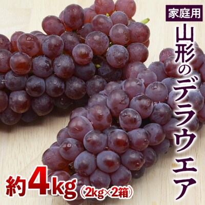 【ご家庭用】山形のデラウエア M～3L 約4kg(18～40房)【令和8年産】FS24-570