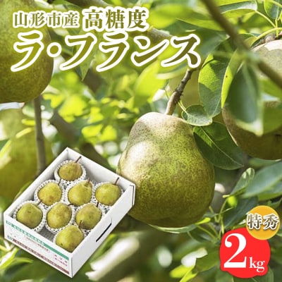 山形市産【高糖度ラフランス】特秀品 2kg (5～8玉) 【令和8年産】FS24-820