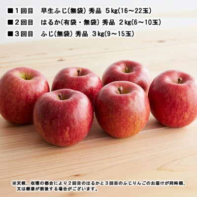 【定期便3回】やまがた秋のりんご三昧 【令和8年産】FS23-638