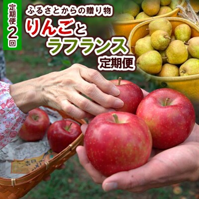 【定期便2回】ふるさとからの贈り物 りんごとラフランス便 【令和8年産】FS23-657