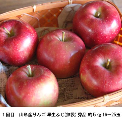 【定期便2回】ふるさとからの贈り物 りんごとラフランス便 【令和8年産】FS23-657