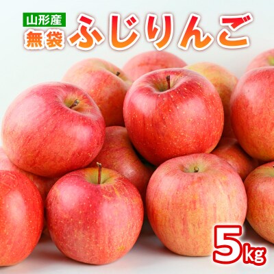 山形産 無袋 ふじりんご 秀5kg(13～20玉)【令和8年産】FS25-774