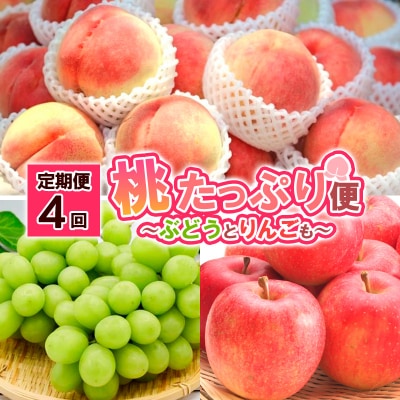 【定期便4回】桃たっぷり便～ぶどうとりんごも～ FS25-689
