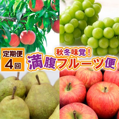 【定期便4回】秋冬味覚!満腹フルーツ便 FS25-691
