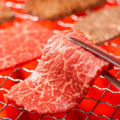 山形牛 モモ・カルビ 焼肉用 1kg (500g×2P) FZ26-834