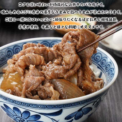山形牛 切り落とし 1kg (500g×2P) FY25-071