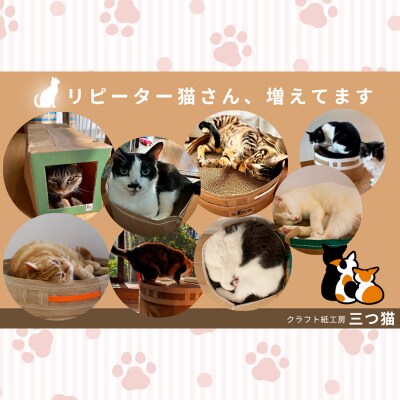 猫爪とぎセット(猫爪とぎ・猫トンネル・猫ハウス・カーゴサック) M-02 FZ26-745
