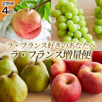 【定期便4回】ラ・フランス好きのあなたへ ラ・フランス増量便 FY25-222