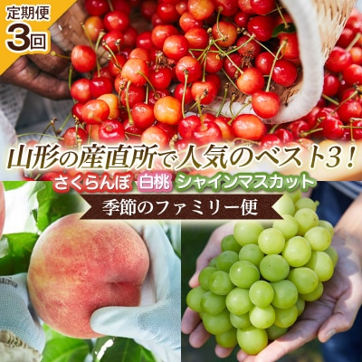 【定期便3回】山形の産直所で人気のベスト3!【季節のファミリー便】 FZ25-223