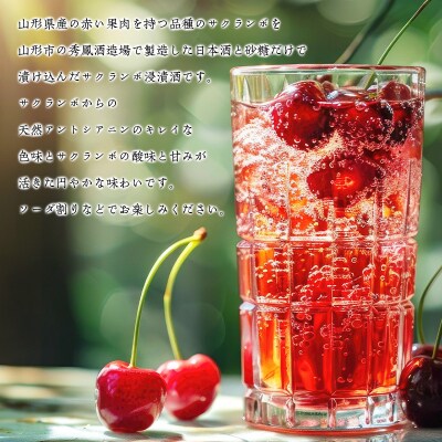 山形 赤い果実 さくらんぼ(リキュール) 500ml ×1本 FY25-248