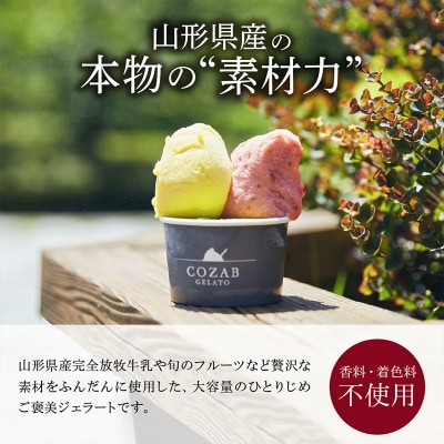 COZAB GELATO 訳あり 大容量 ひとりじめサイズ 2個セット ジェラート FY25-276