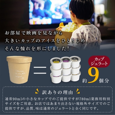 COZAB GELATO 訳あり 大容量 ひとりじめサイズ 6個セット ジェラート FY25-277